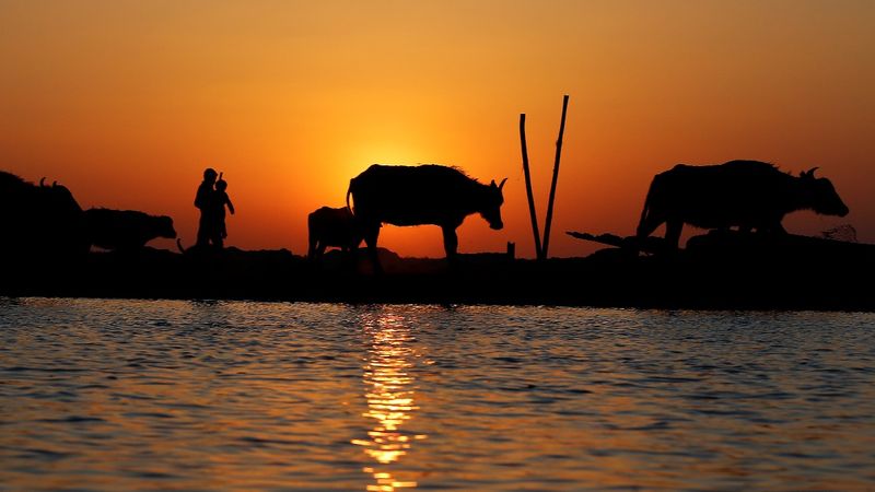 From desert to 'Garden of Eden' once more