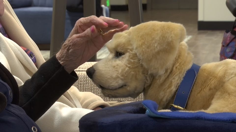 Man's best friend' is a robot dog to some with dementia Reuters