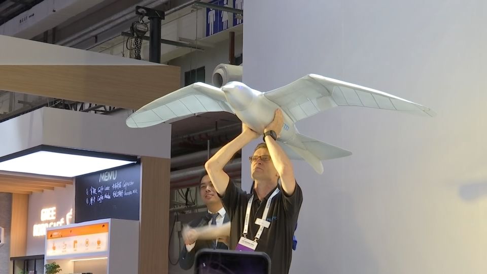 Bionic flying bird soars at China robot show | Reuters