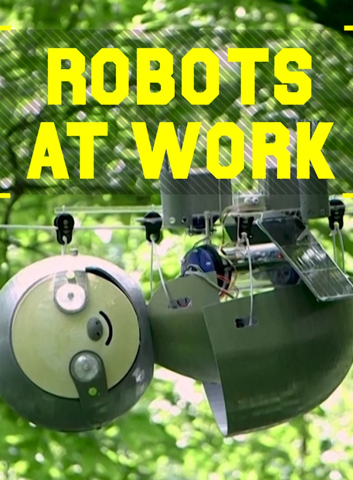 Robots At Work: SlothBot monitors endangered species | Reuters