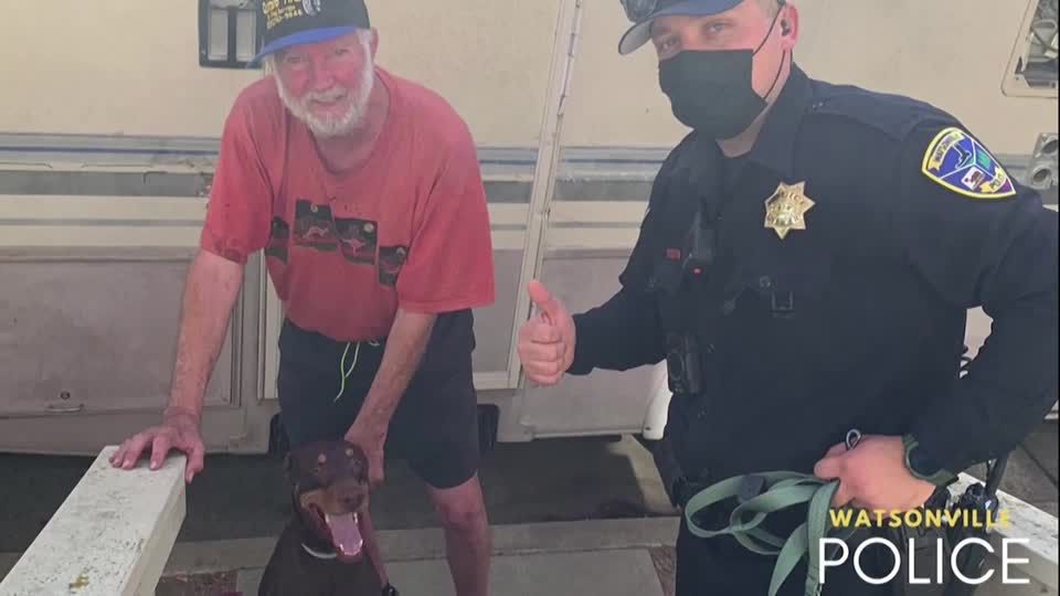 Californian man reunited with missing support dog