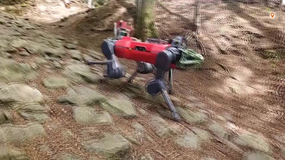 Robot dog takes a rough hike for research | Reuters