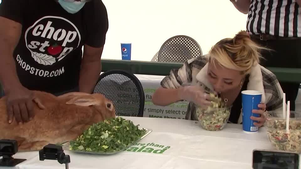 Giant bunny loses in California salad-eating contest | Reuters