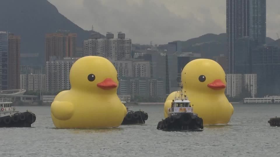Two giant rubber ducks debut in Hong Kong in bid to drive 