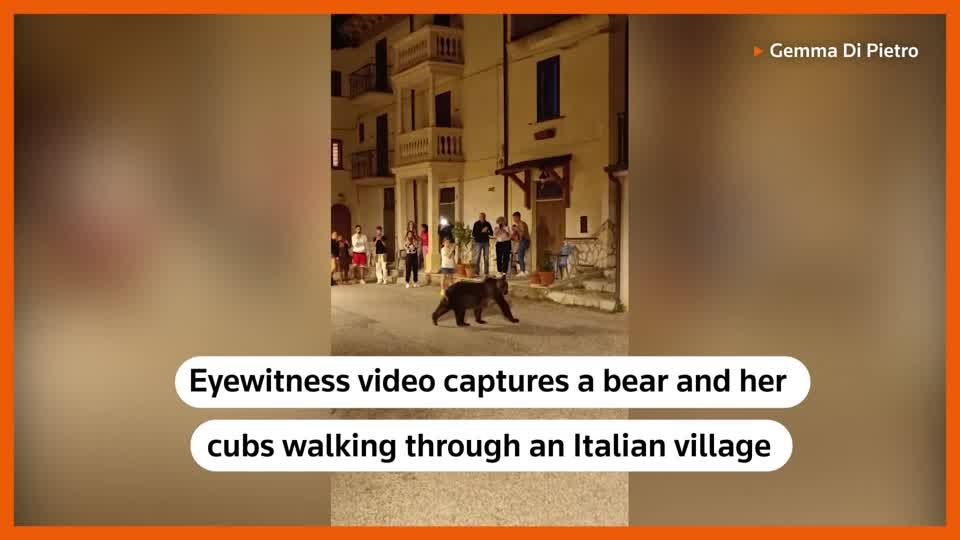 Bear and cubs go for a walk in Italian village | Reuters
