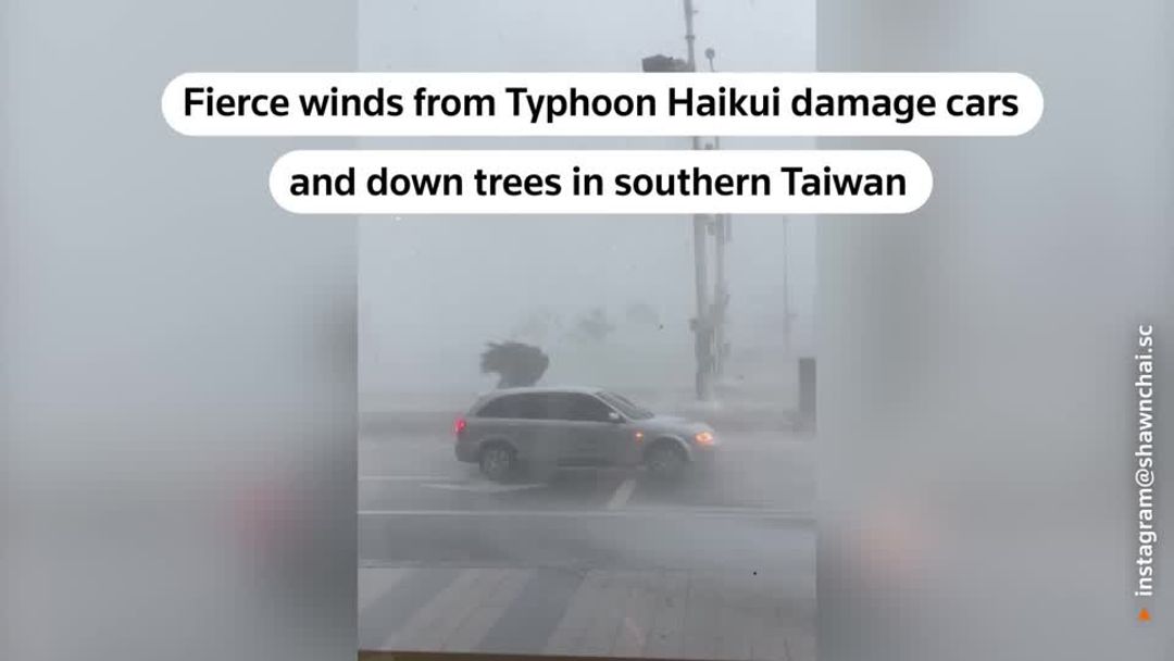 Taiwan to restore power after Typhoon Haikui batters island | Reuters