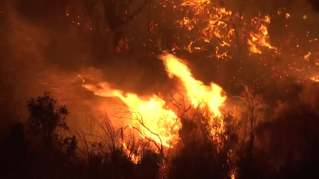 Residents in Australian state urged to flee as wildfires blaze | Reuters