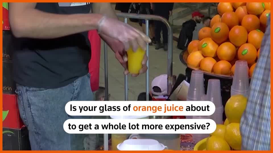 Orange juice prices hit all-time high amid bleak production