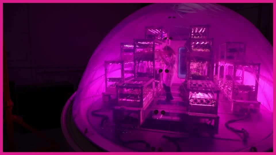 This 'biopod' could be used on Earth and in space | Reuters