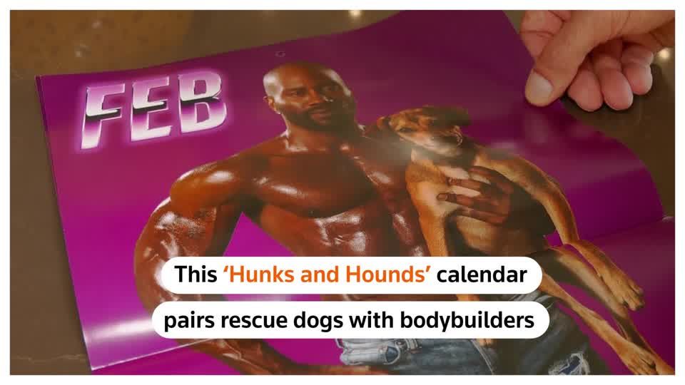 'Hunks and Hounds' calendar pairs bodybuilders with rescue pups