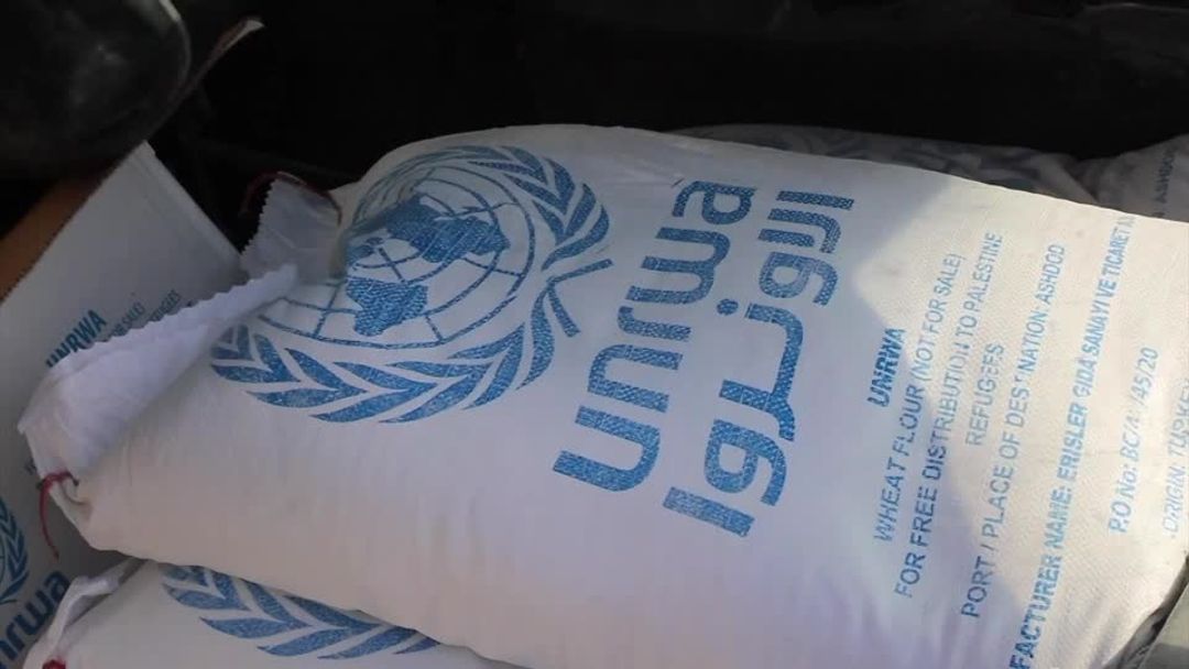 UN urges reversal of funding pause for Palestinian refugee agency | Reuters