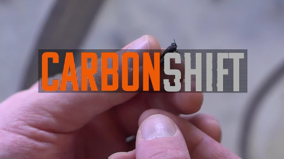 UK insect farm hatches plan for greener animal feed | Reuters