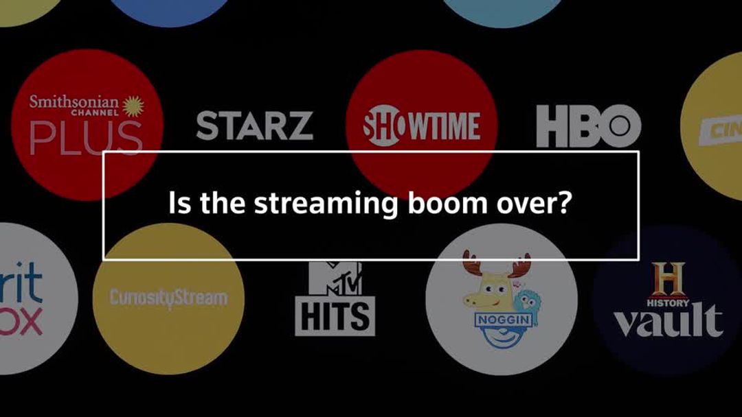 Streaming subscriber growth in US halved last year | Reuters