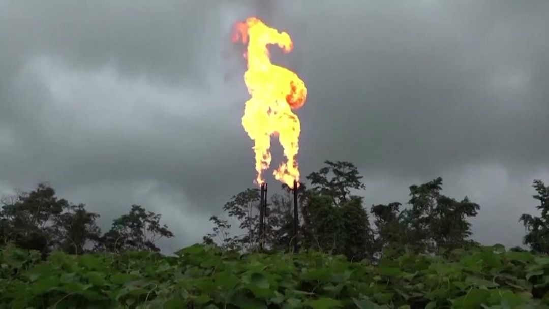 Global energy-related CO2 emissions hit record high in 2023 - IEA | Reuters