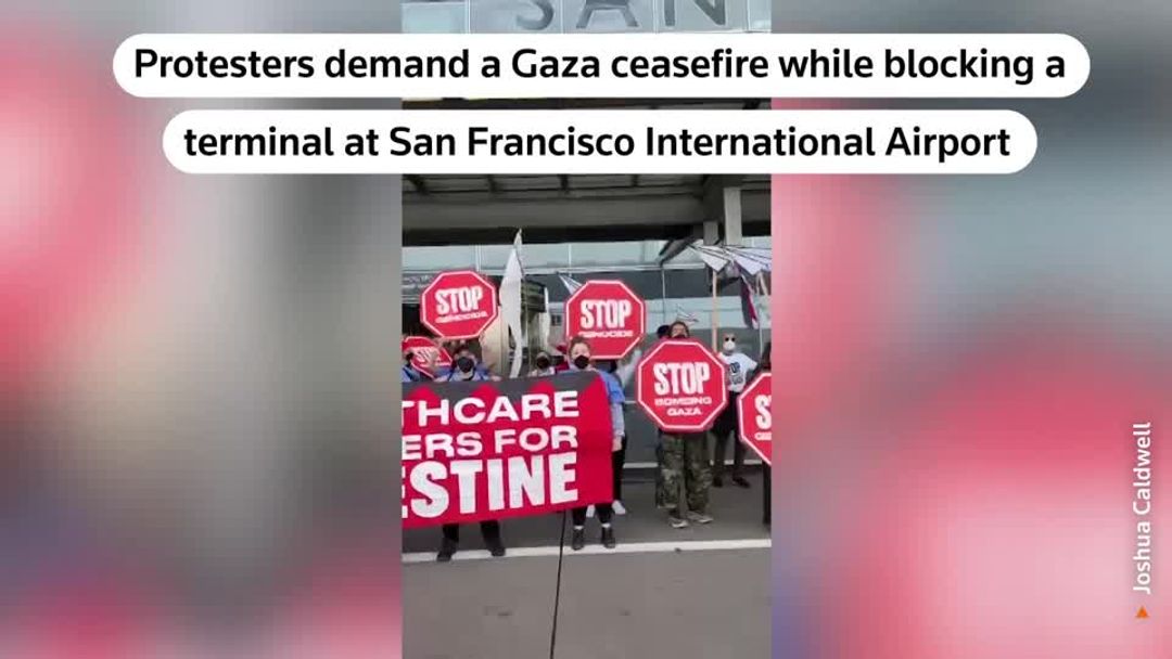 Protesters demanding Gaza ceasefire block terminal at San Francisco ...