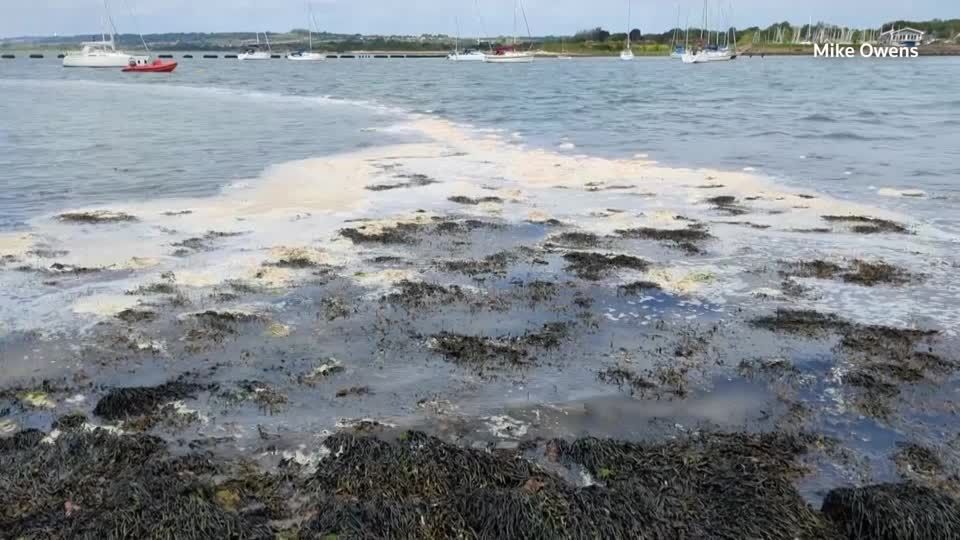 マリンスポーツ財団 - 海洋保全活動や生態系保護に対する意識を高めることを目的とした海洋写真コンテスト【The Ocean Photographer  of the Year】の受賞者が発表されました。 クジラが魚の群れを食べようとしている瞬間をとらえた写真が総合1位を獲得しました。 詳しくは ..., image size:1080x1080