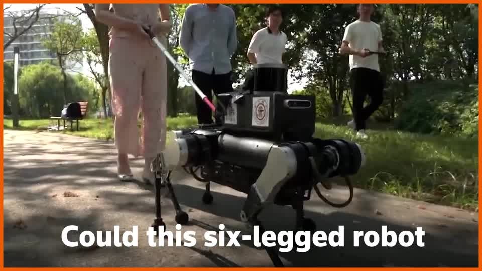 Chinese robot 'guide dog' aims to improve independence for