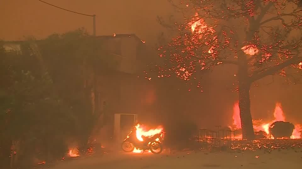 Athens wildfire reaches suburbs as Greece calls in Europe's help | Reuters
