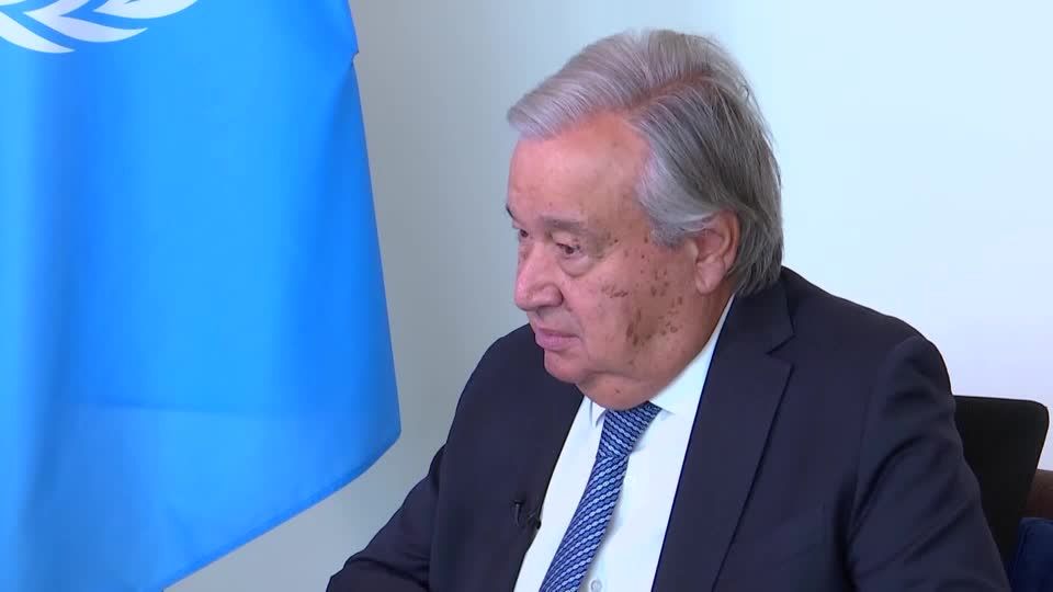 UN chief decries lack of accountability for staff deaths in Gaza | Reuters
