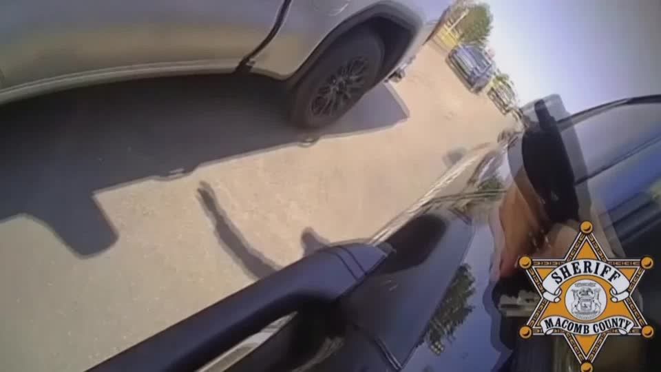 Police officer climbs into moving vehicle to help driver | Reuters