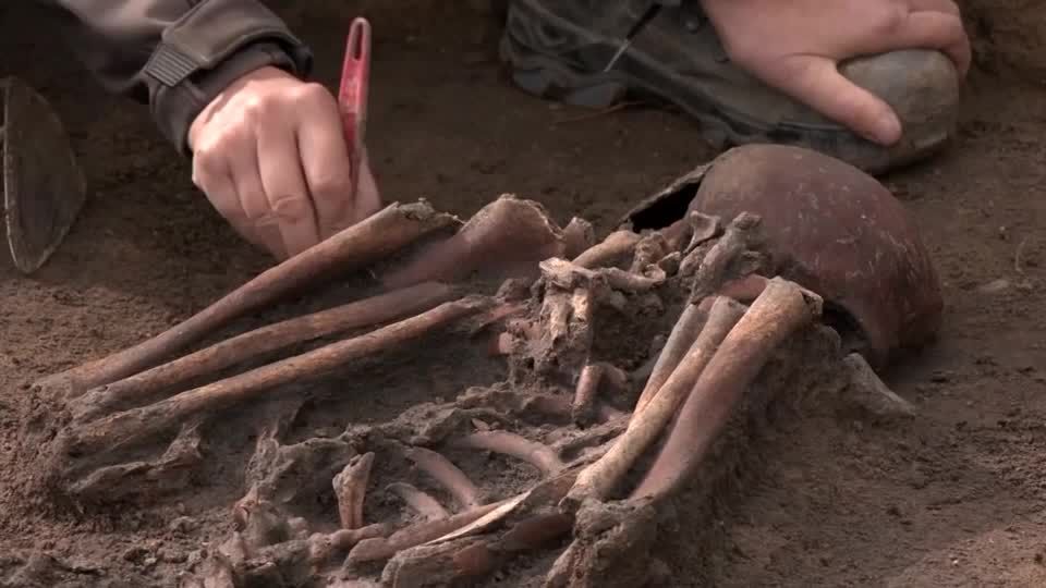 バイキング時代の人骨50体を発掘、当時の暮らしを知る手掛かりに