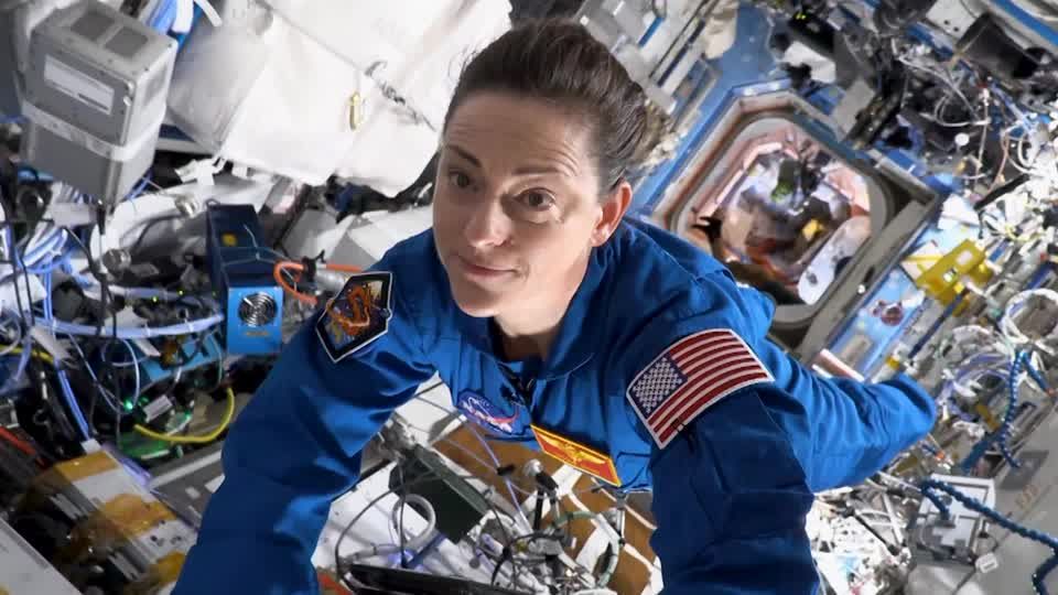 Human cell research in space may reveal secrets of ageing | Reuters