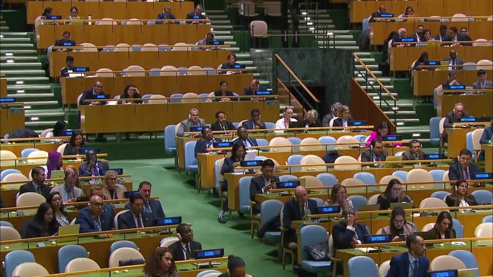 UN General Assembly votes overwhelmingly for Gaza ceasefire | Reuters