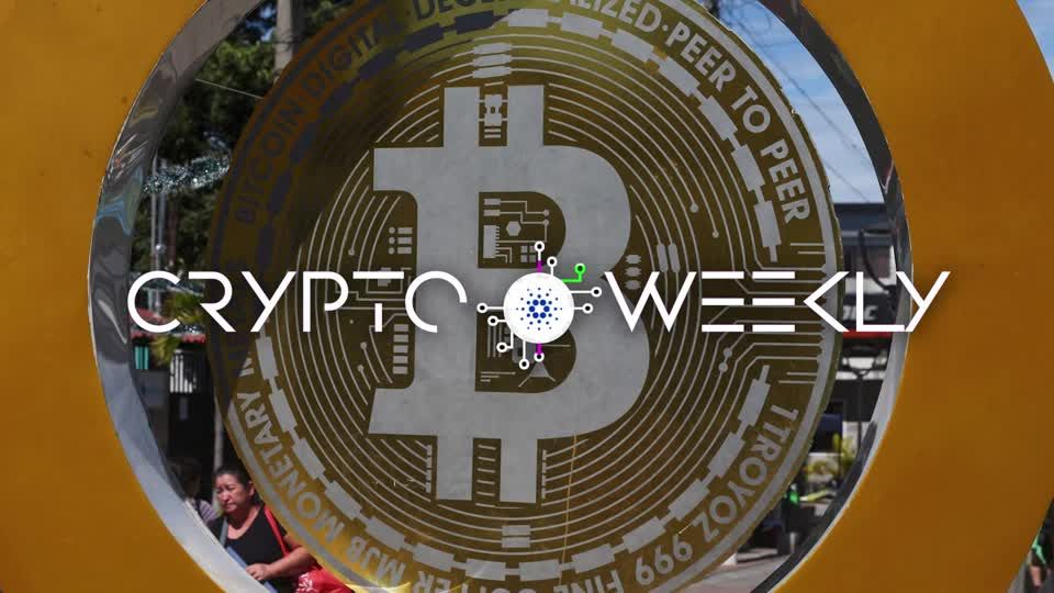 Crypto Weekly: Investors bet big on Trump 2.0 | ロイター