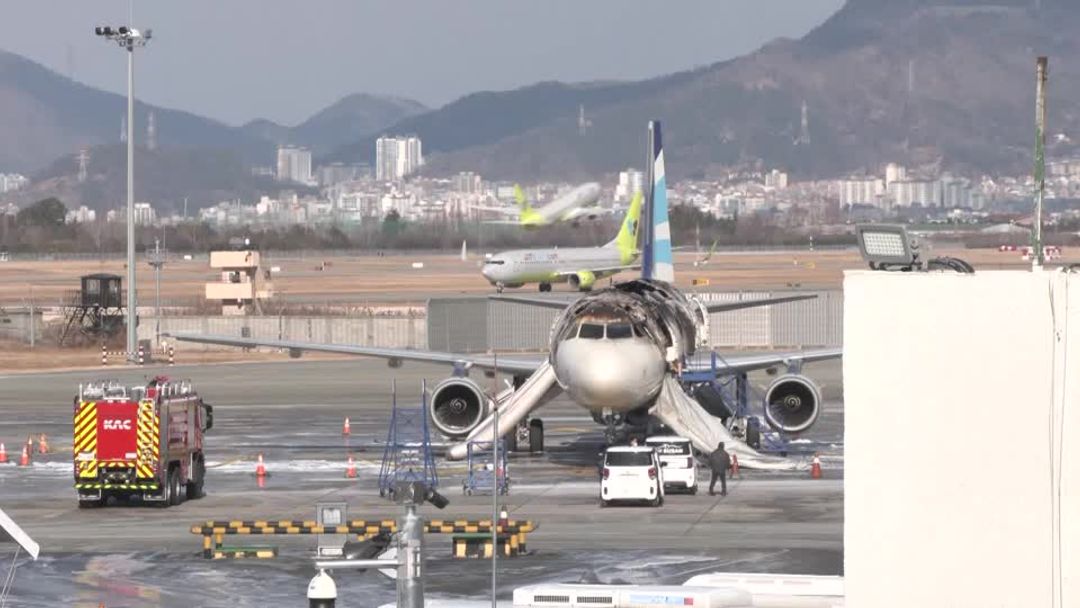 Air Busan Airbus plane catches fire at South Korea's Busan airport ...
