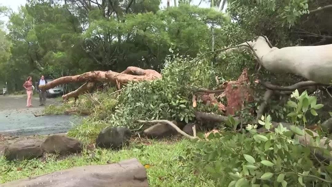 Cyclone Alfred downgraded as millions of Australians stay indoors | Reuters