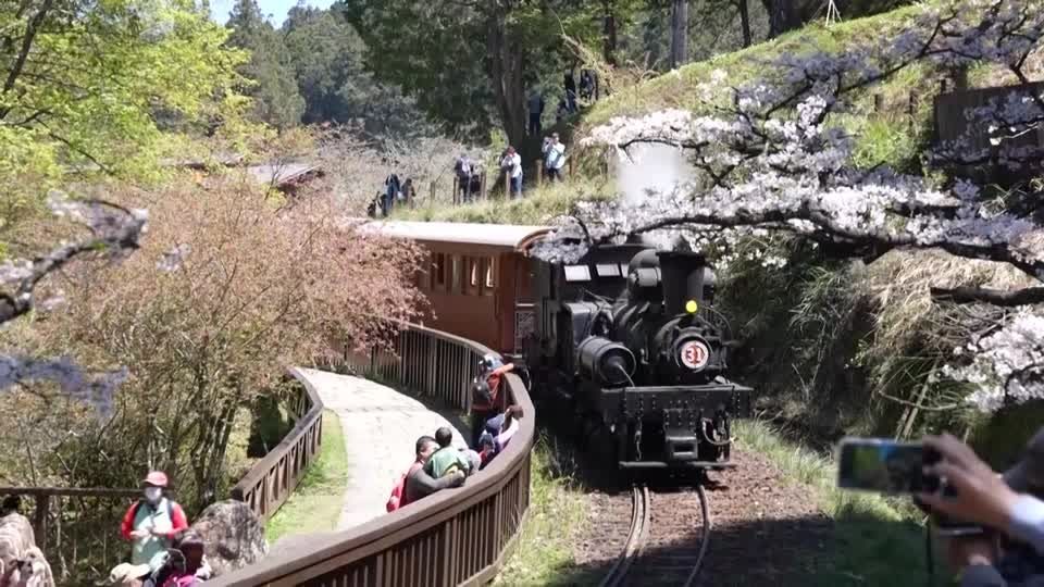 110歳の「おじいちゃんSL」がお花見列車、桜や自然の中を特別運行
