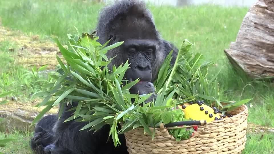 67fca06ae4b0a002ee96f206?