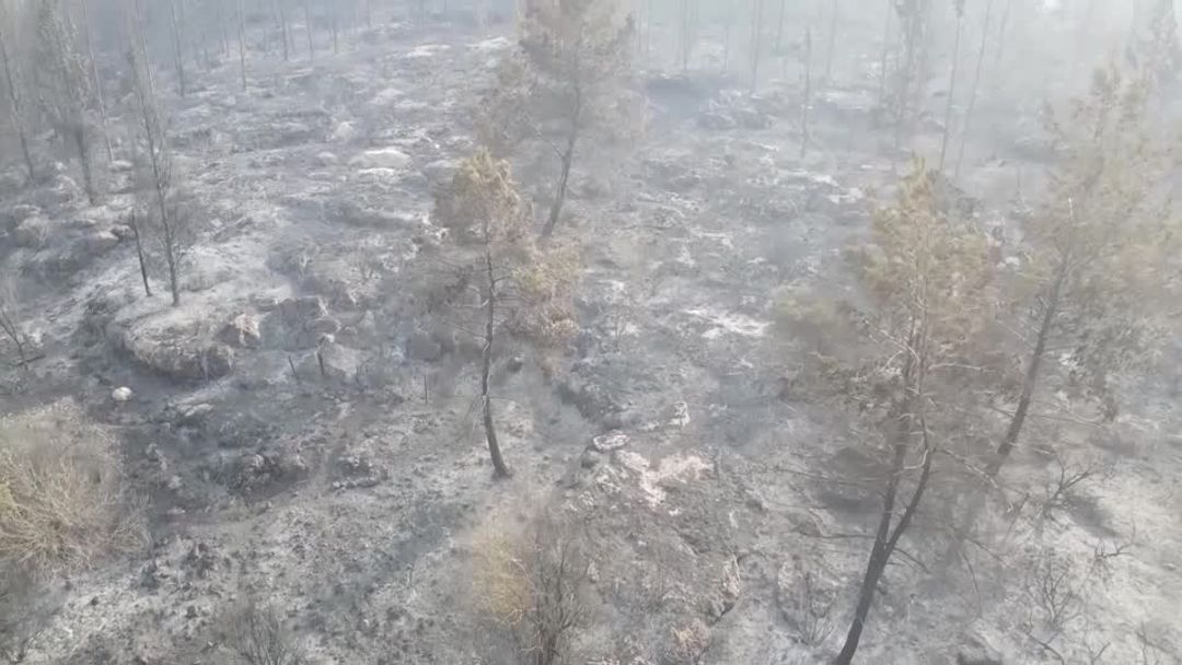 Wildfires rage near Jerusalem, major road closed, communities evacuated ...
