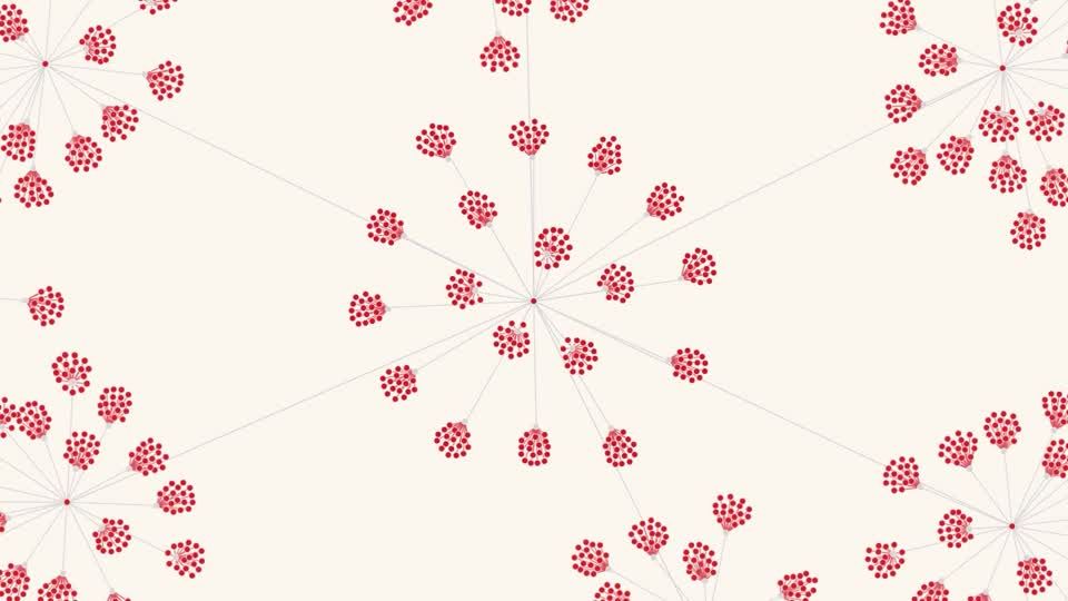 Measles is on the rise in the US. This is how it spreads | Reuters