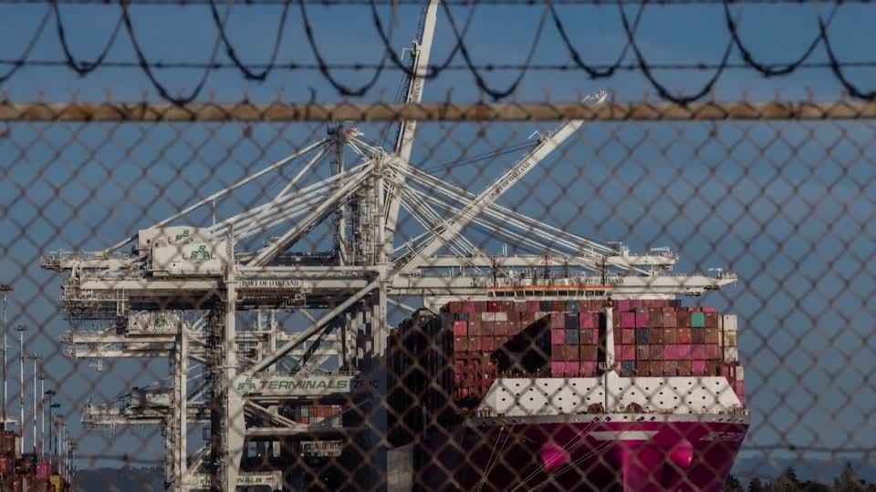 OECD trims global outlook as Trump trade war hits U.S. growth