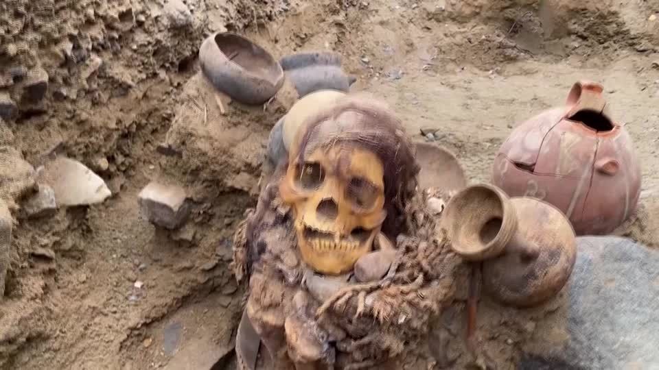 新ミイラ部 リマ北部で1000年前の女性のミイラ、ガス管の敷設作業中に発見 海産物