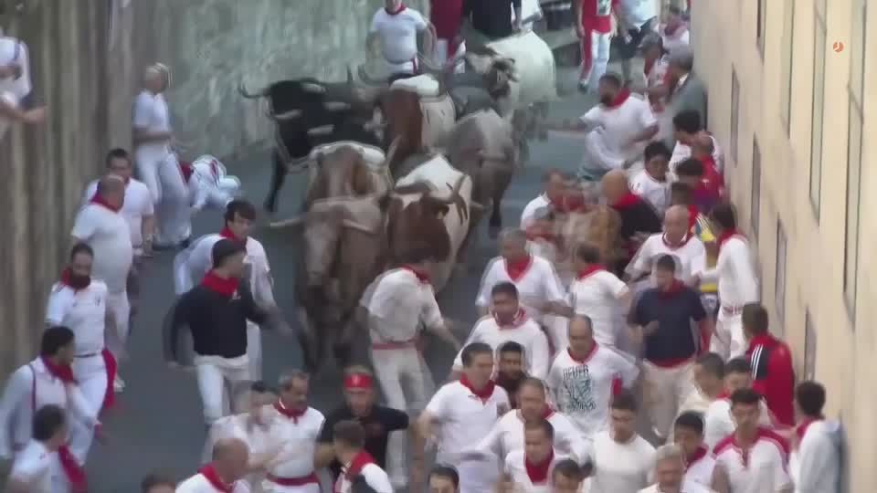 Fastest bull runs mark end of Spain’s annual Pamplona festival | Reuters