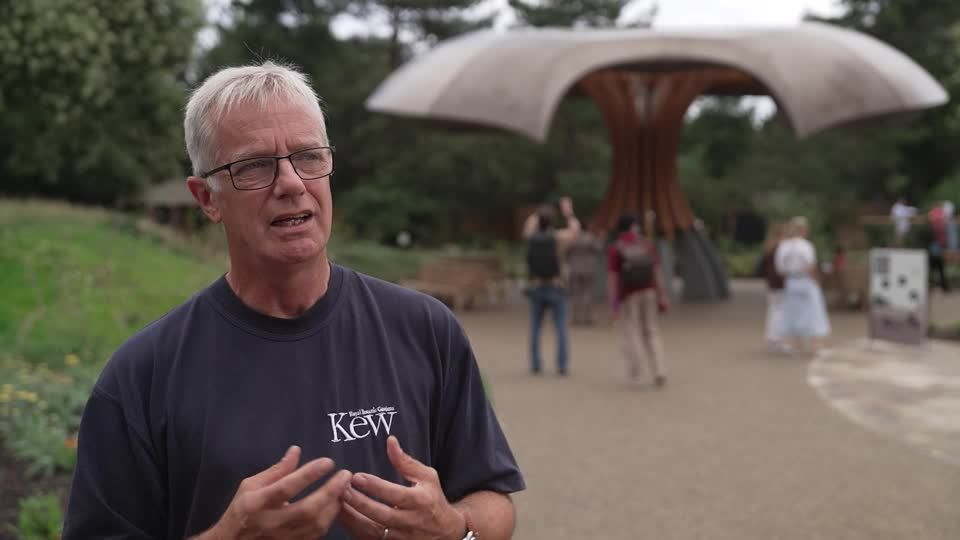 'Carbon Garden' opens in London to highlight climate crisis | Reuters