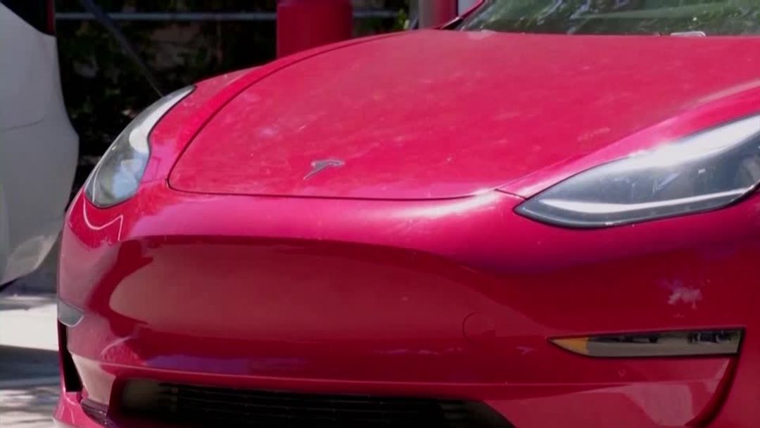 Tesla's brand loyalty collapsed after Musk backed Trump, data shows ...