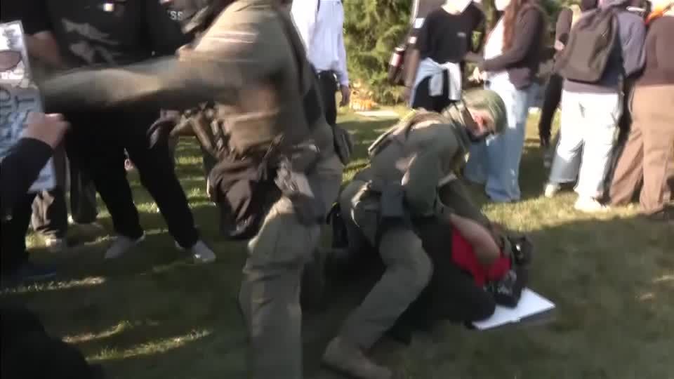 Protesters scuffle with officers at Chicago anti-ICE demonstration ...