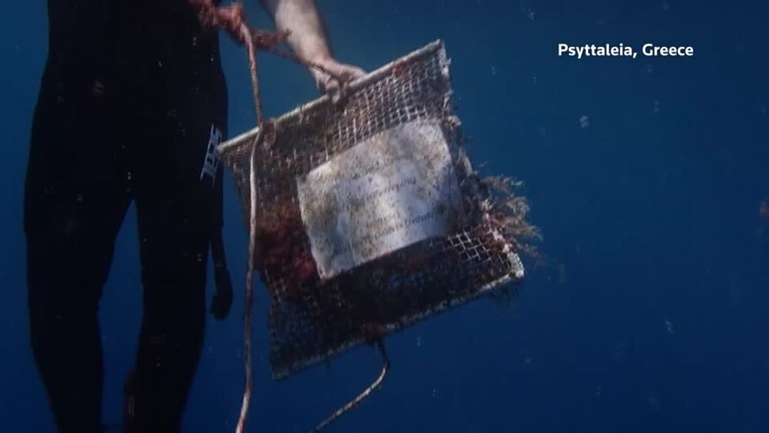 Mussels reveal growing microplastic pollution in Greece's prized seas ...