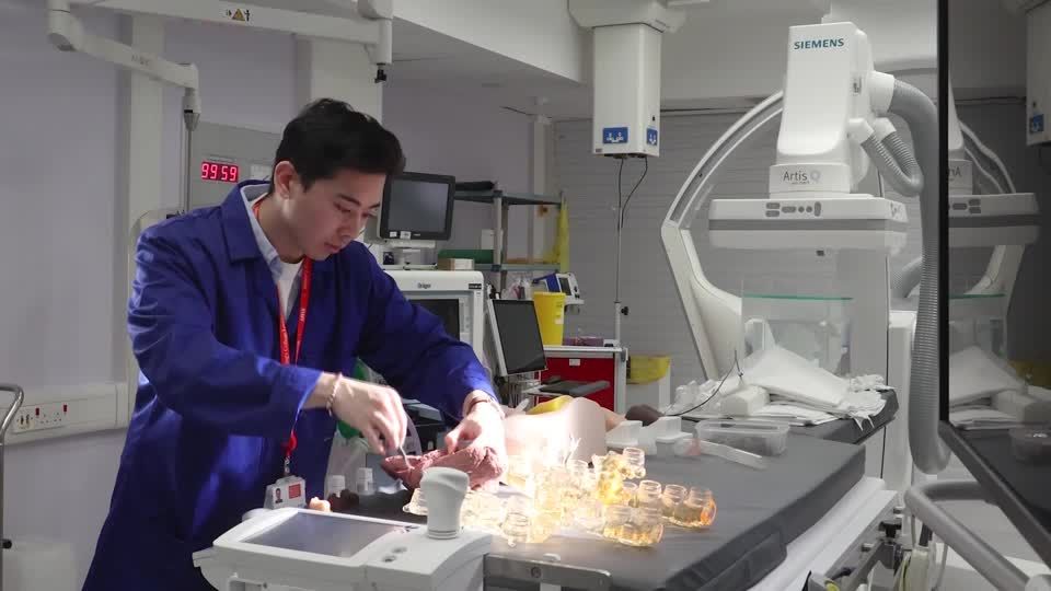 Fake but realistic organs to allow safer, more ethical medical training