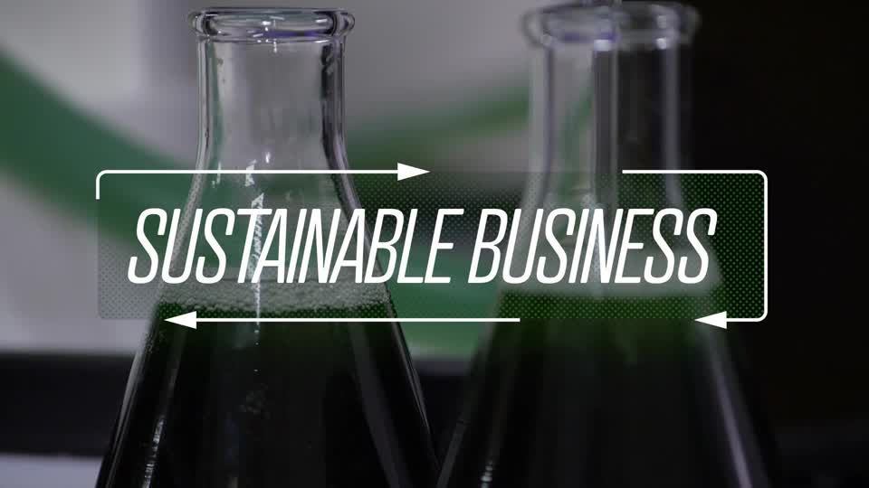 Algae bioreactor in Sydney wants to replace petrochemicals with algae