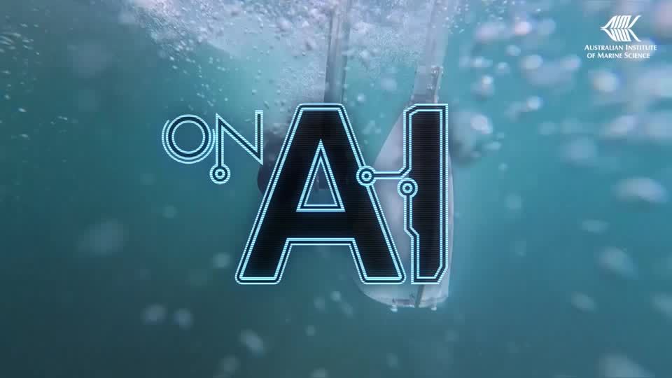 AI robot boats plant baby corals across the Great Barrier Reef | Reuters