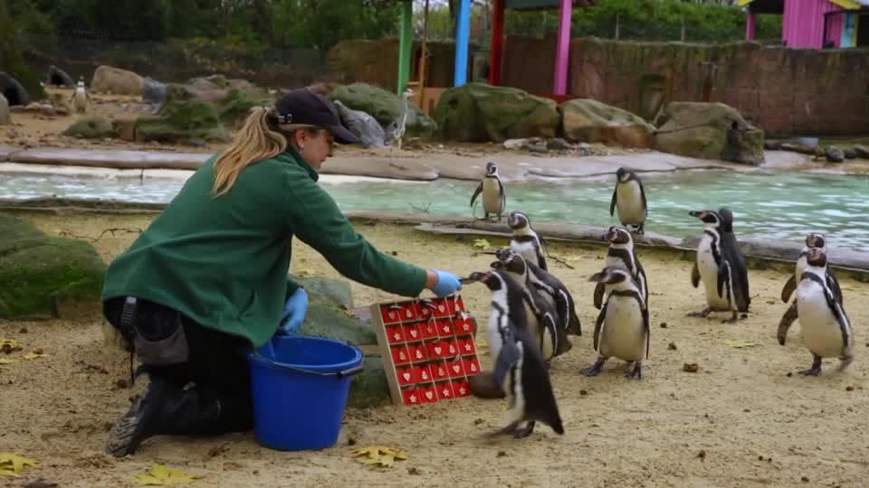 What were your thoughts on the new games you played in February?, image size:1080x1080