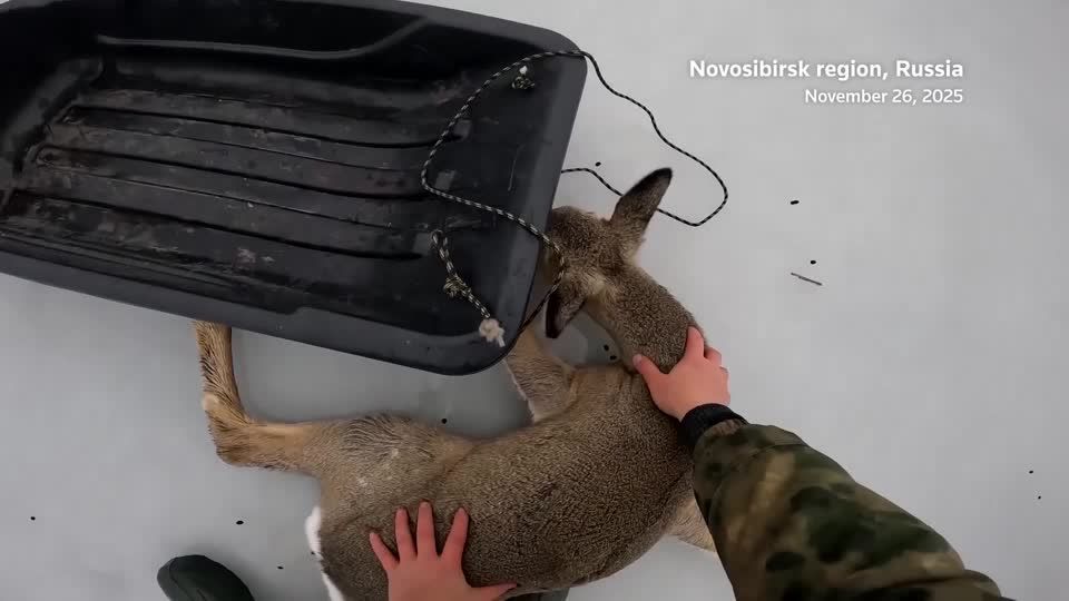 ロシア語 ロシアにおける狩猟 ロシア語 ロシアにおける狩猟 日ソ