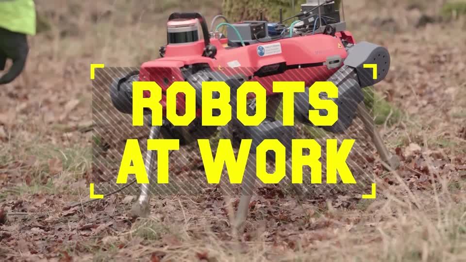 Robot dog' helps Oxford scientists monitor forest health | ロイター