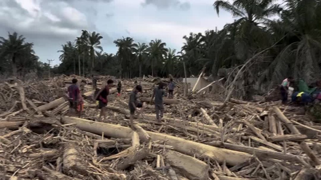 Indonesians climb over logs in walk to aid centre as flood deaths ...
