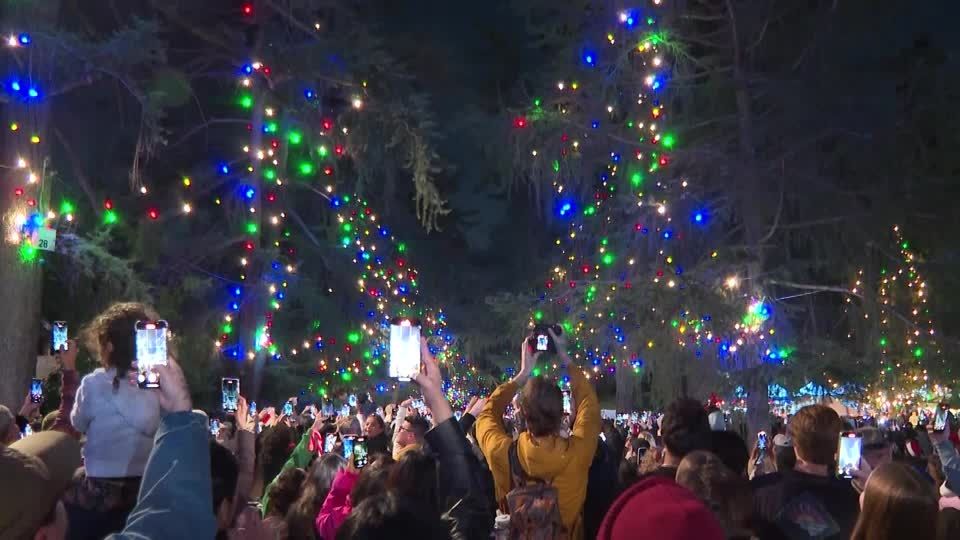 米株、1カ月で592兆円消失もトランプ氏は関税政策を擁護 「朝令暮改