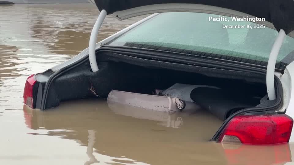 Streets turn to rivers as storms flood town in Washington state | Reuters